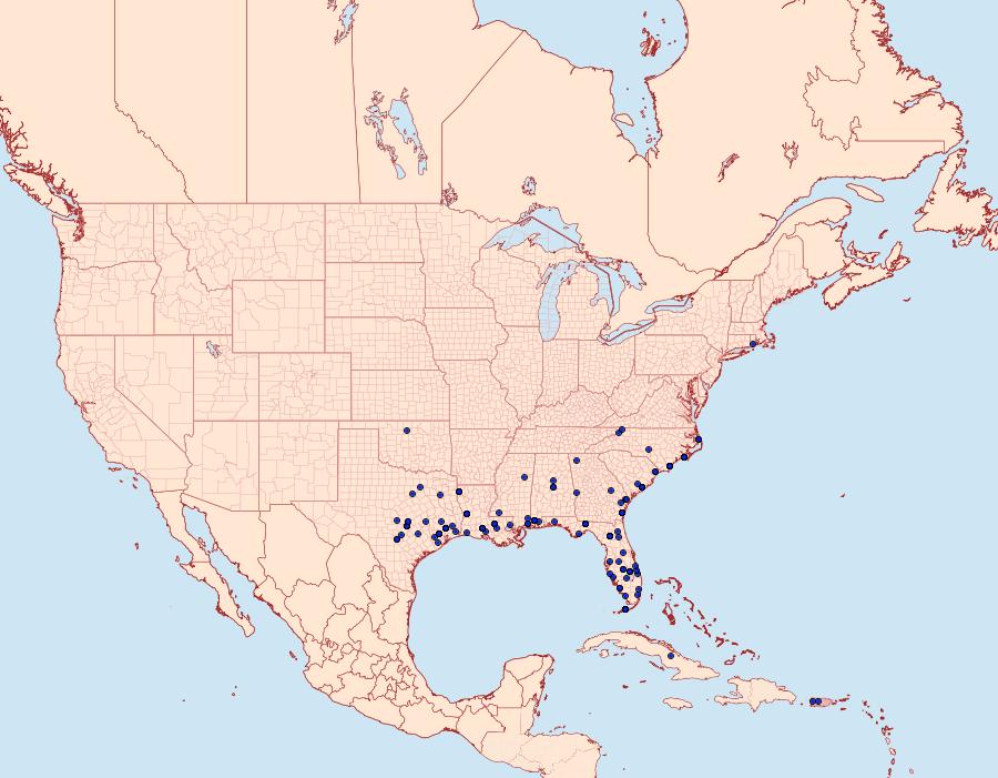 Distribution Data for Mocis marcida