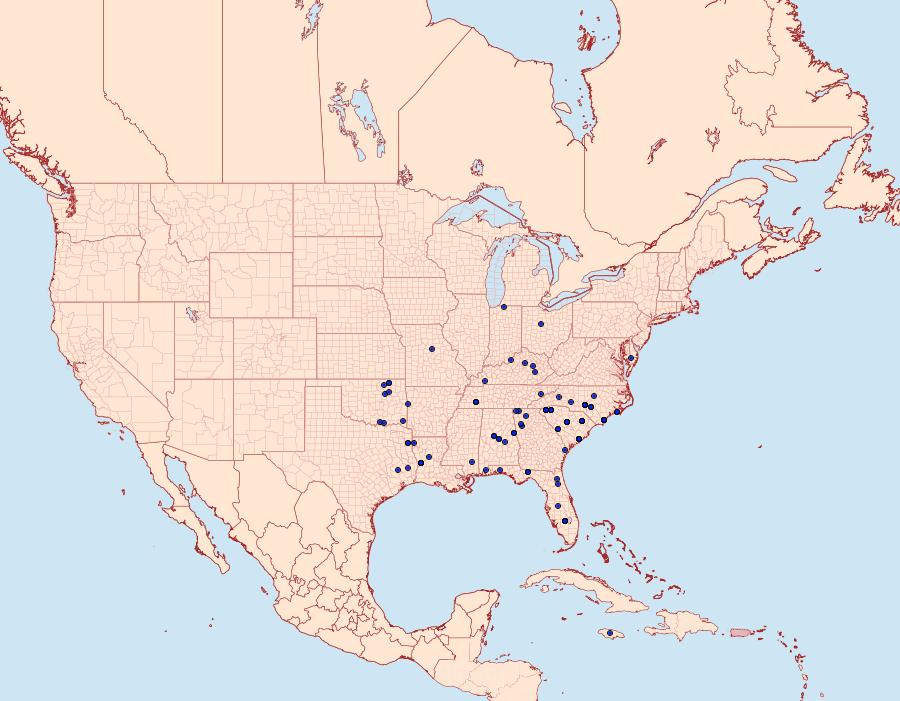 Distribution Data for Ptichodis herbarum