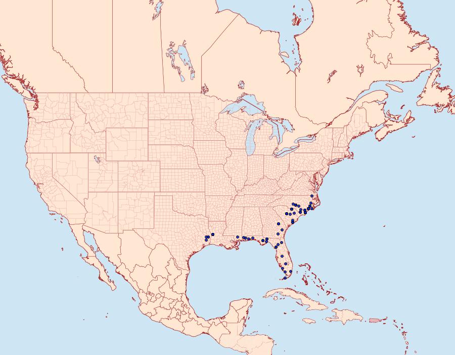 Distribution Data for Argyrostrotis flavistriaria