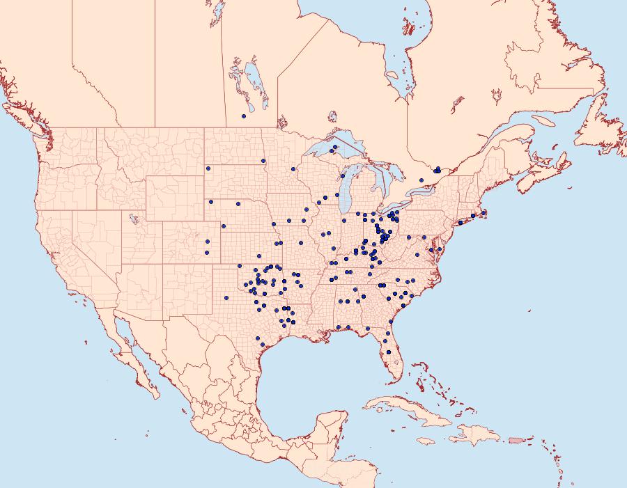 Distribution Data for Argyrostrotis anilis