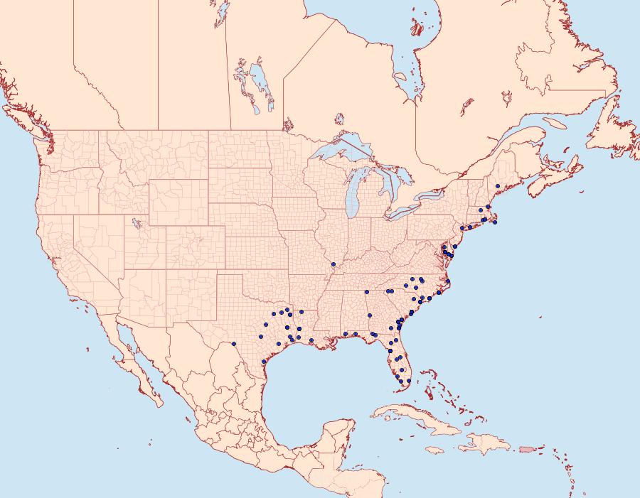 Distribution Data for Catocala muliercula