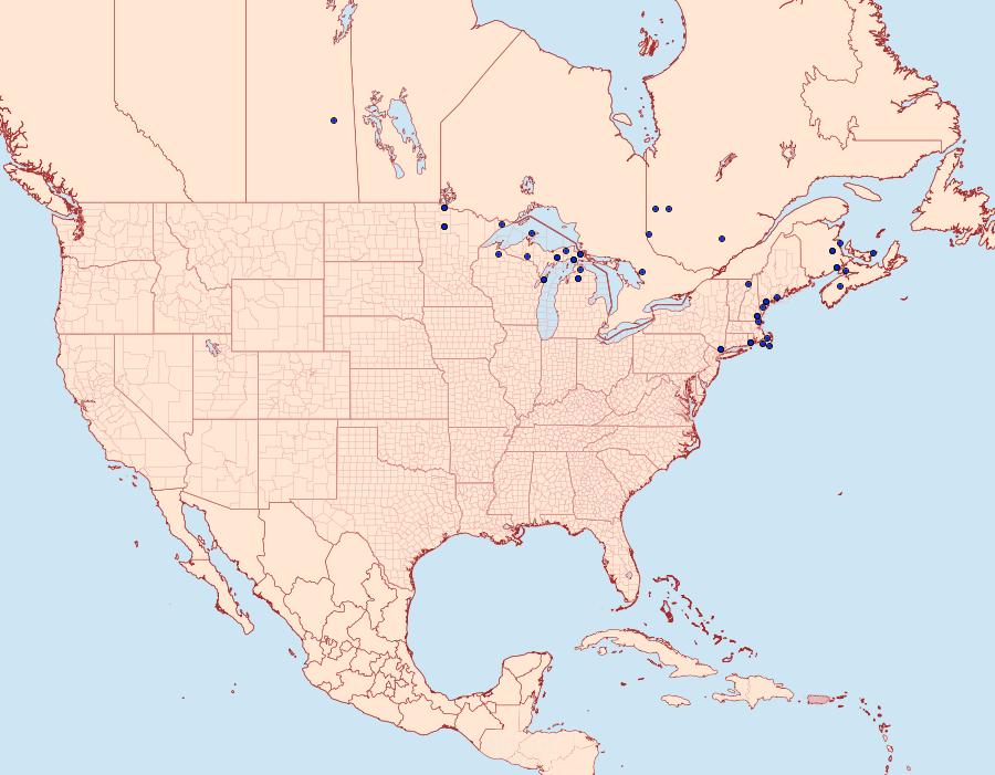 Distribution Data for Catocala badia