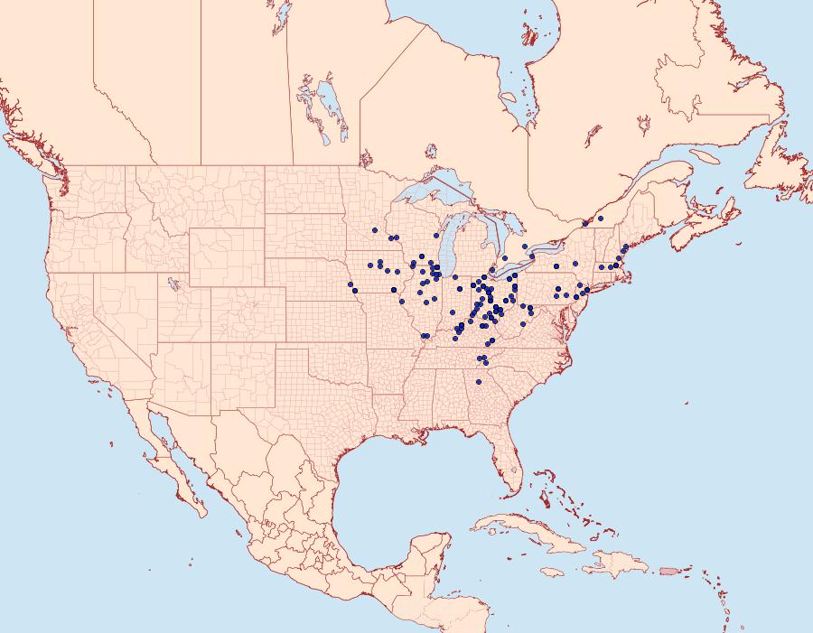 Distribution Data for Catocala habilis