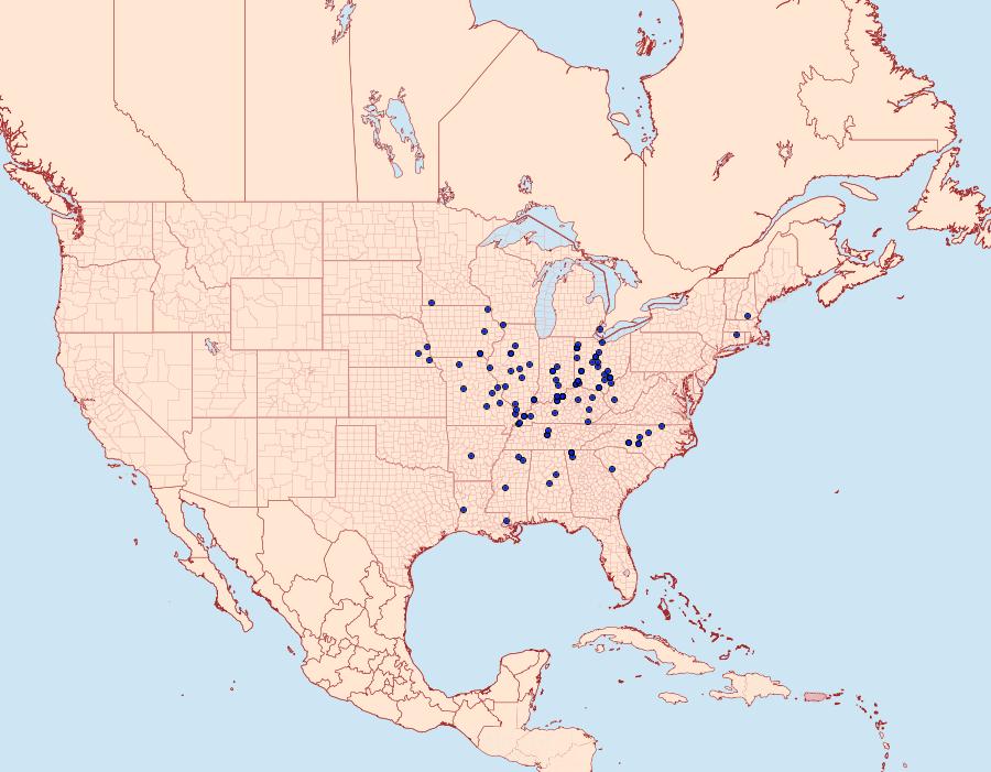 Distribution Data for Catocala robinsonii