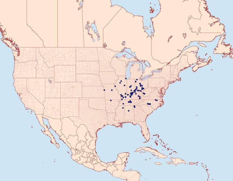 Distribution Data for Catocala angusi