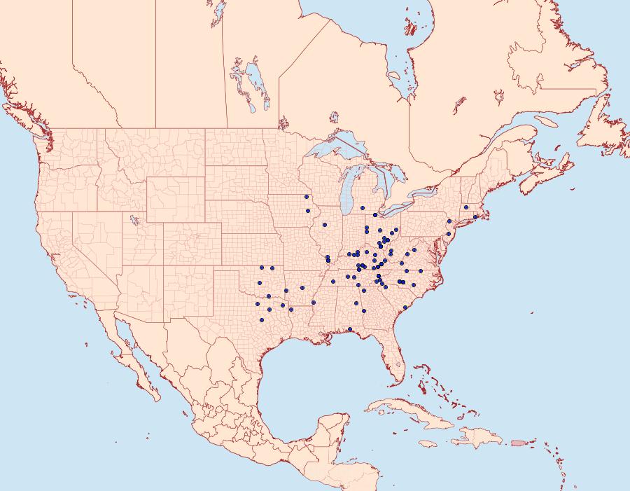 Distribution Data for Catocala dejecta