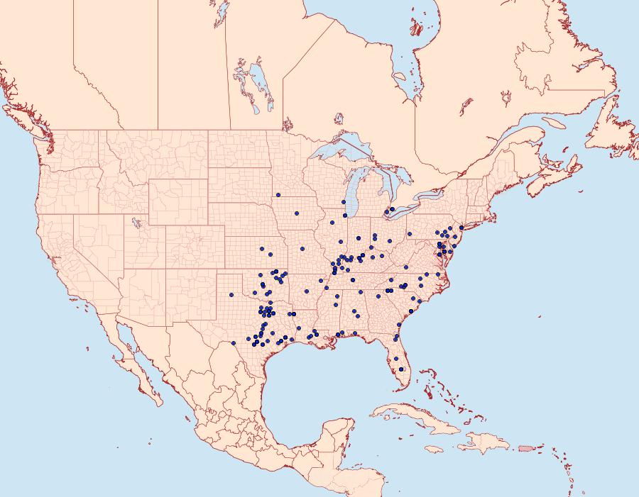 Distribution Data for Catocala maestosa