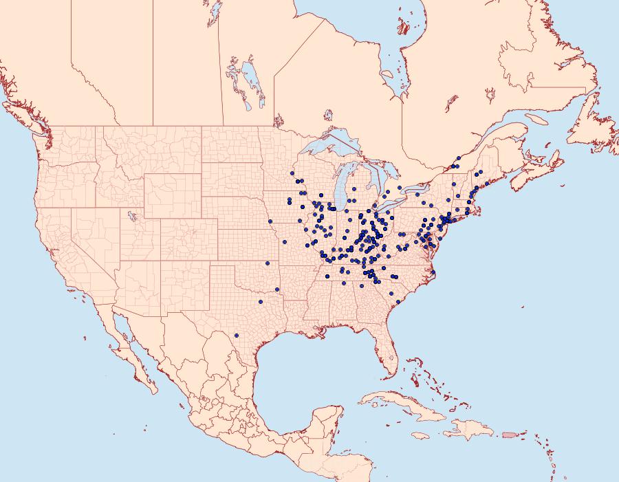 Distribution Data for Catocala palaeogama