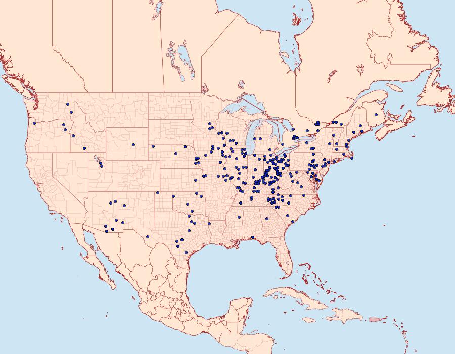 Distribution Data for Catocala neogama