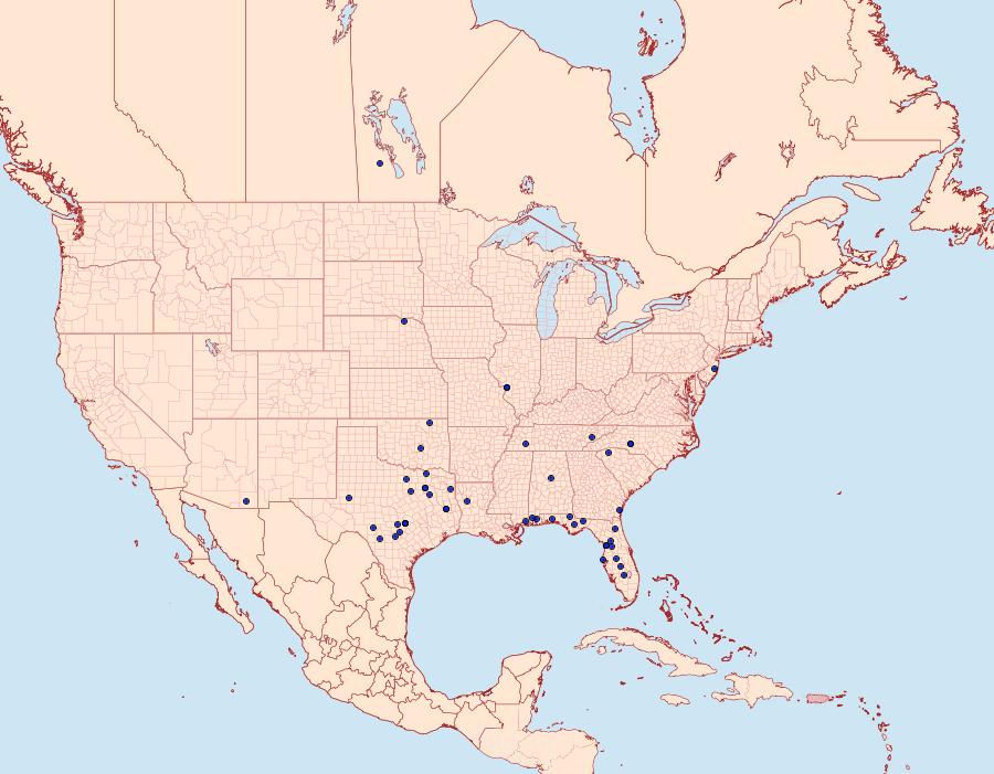 Distribution Data for Catocala umbrosa