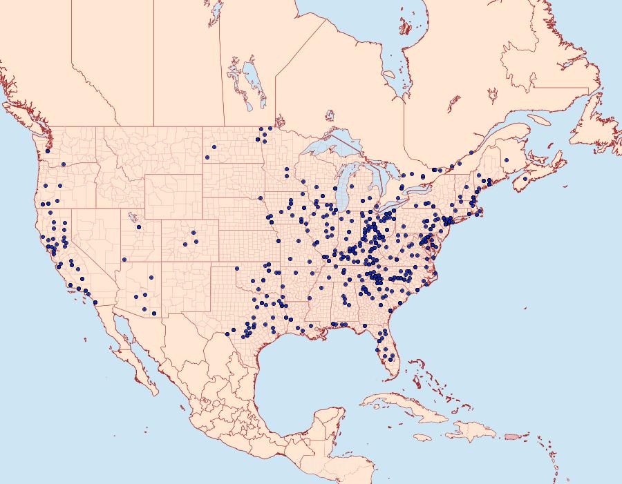 Distribution Data for Catocala ilia