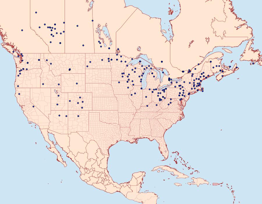 Distribution Data for Catocala relicta