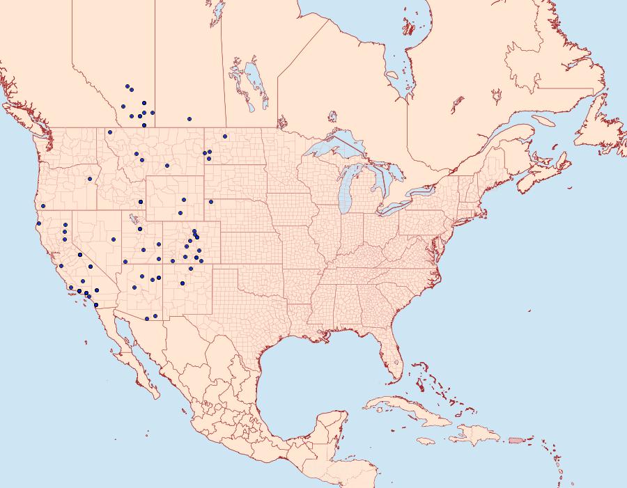 Distribution Data for Catocala hermia