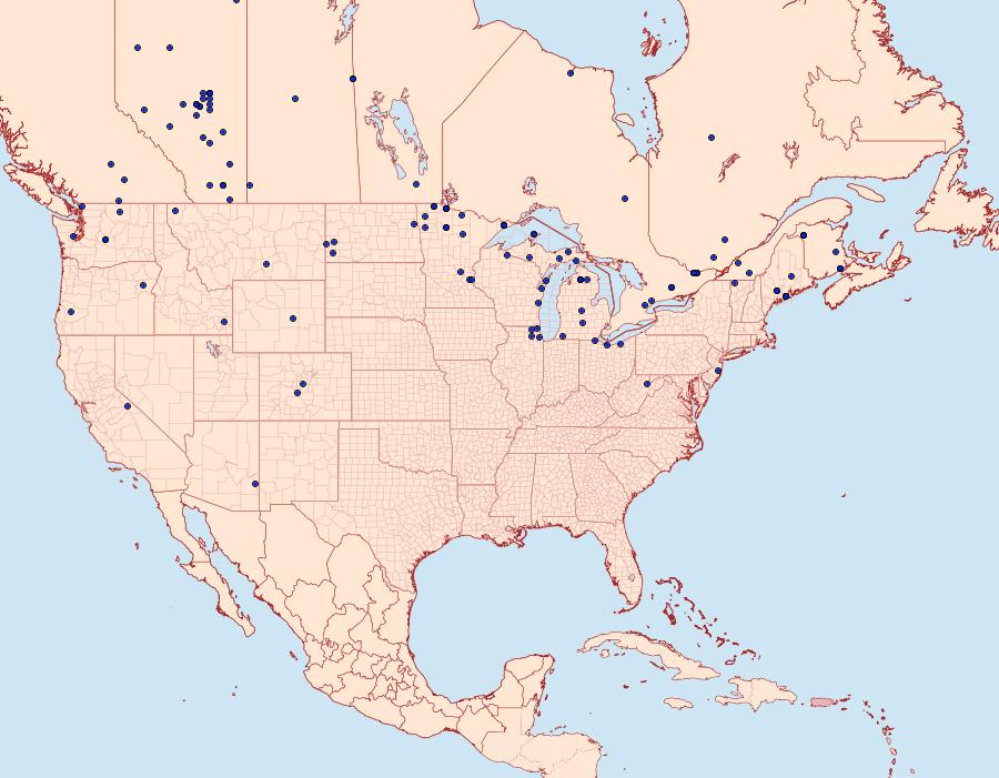 Distribution Data for Catocala briseis