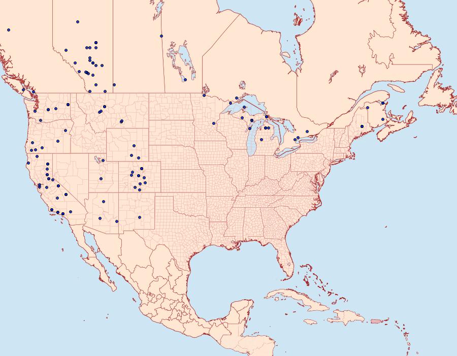 Distribution Data for Catocala semirelicta