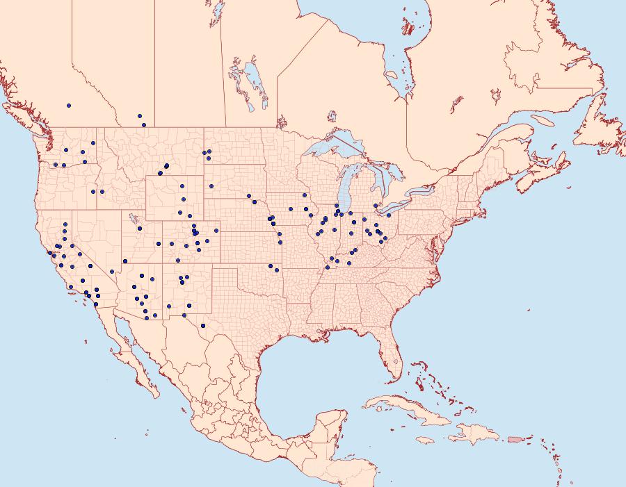 Distribution Data for Catocala junctura