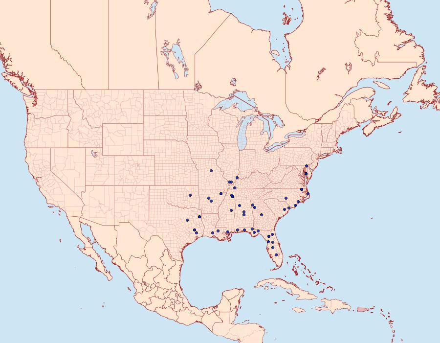 Distribution Data for Catocala carissima