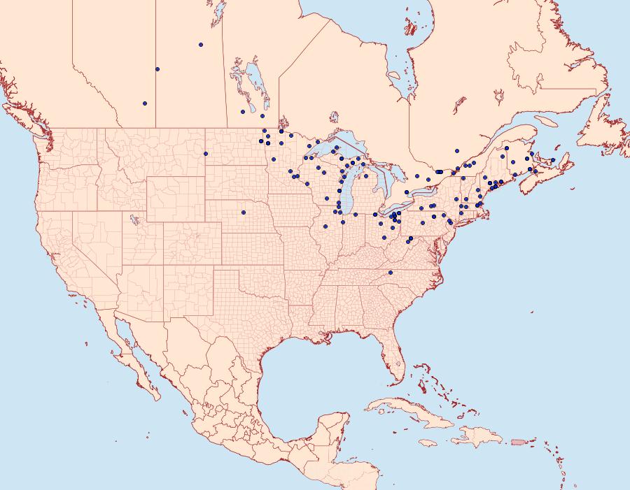 Distribution Data for Catocala concumbens