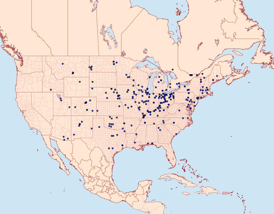 Distribution Data for Catocala amatrix