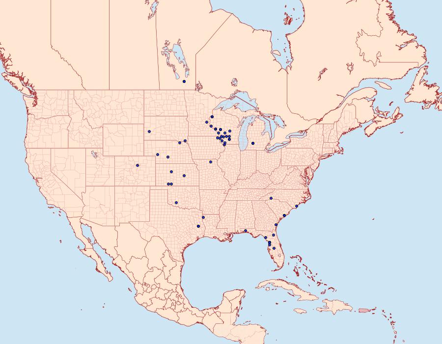 Distribution Data for Catocala amestris