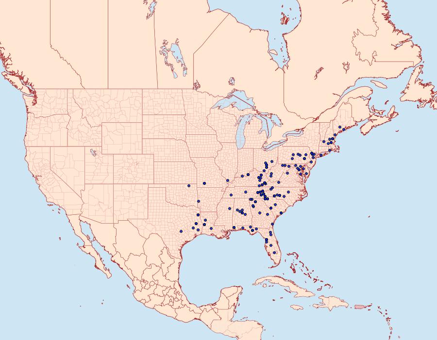 Distribution Data for Catocala andromedae