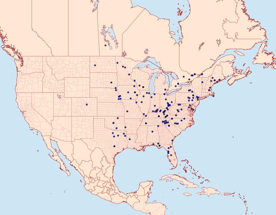 Distribution Data for Catocala coccinata