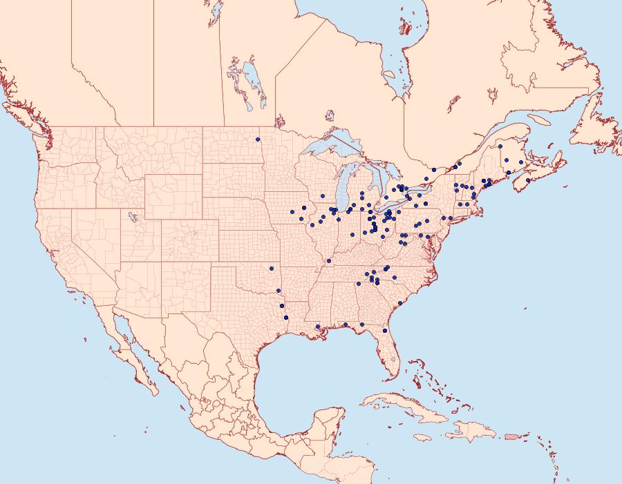 Distribution Data for Catocala crataegi