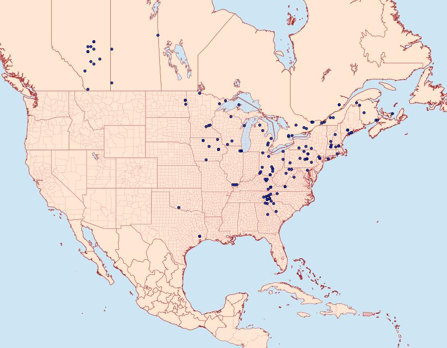 Distribution Data for Catocala blandula