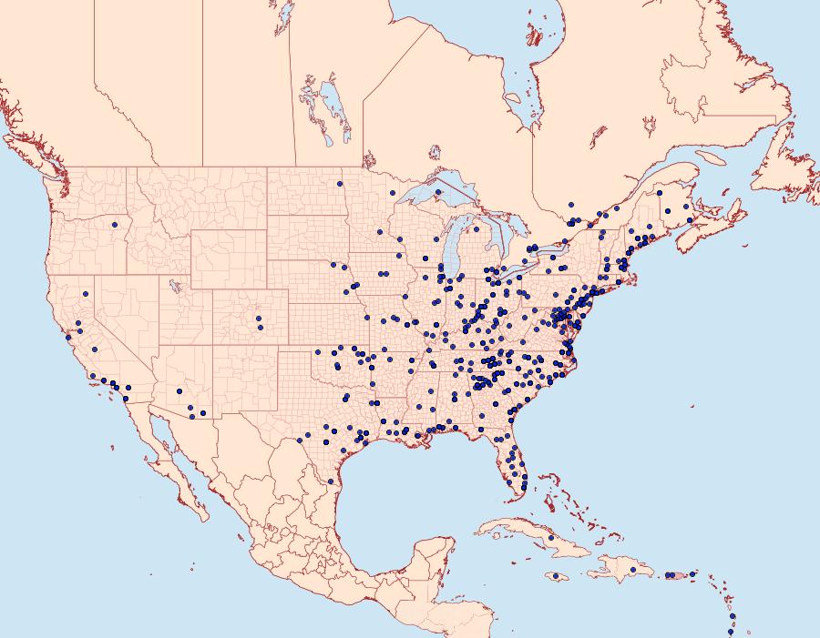 Distribution Data for Chrysodeixis includens