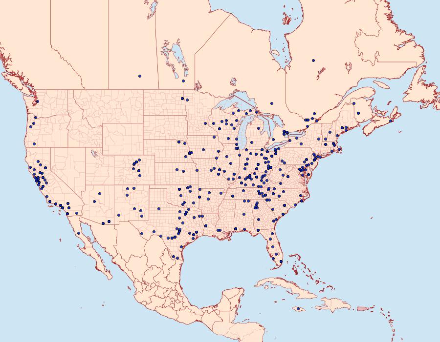 Distribution Data for Megalographa biloba