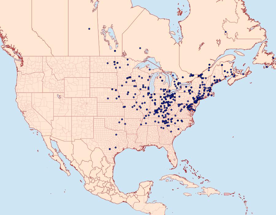 Distribution Data for Autographa precationis