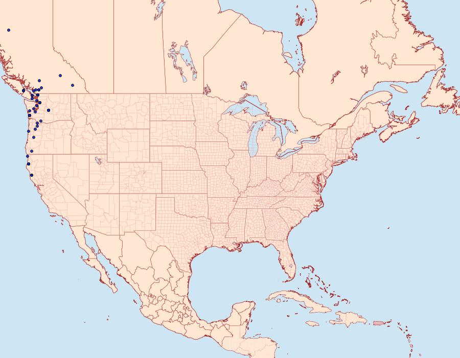 Distribution Data for Autographa corusca