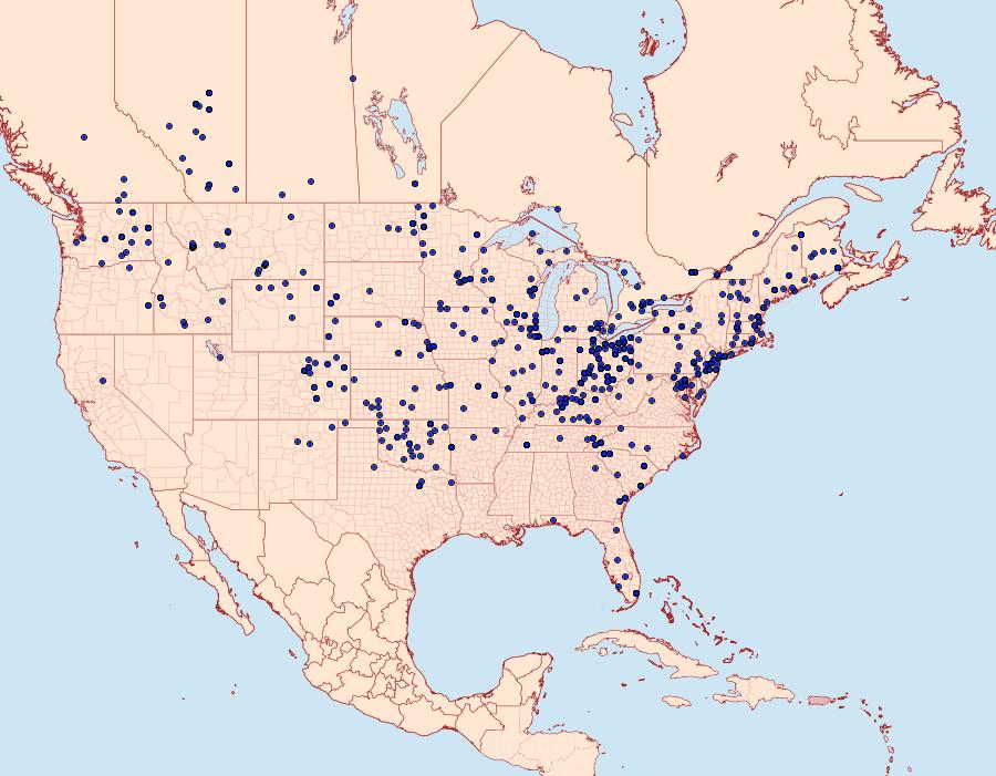 Distribution Data for Anagrapha falcifera