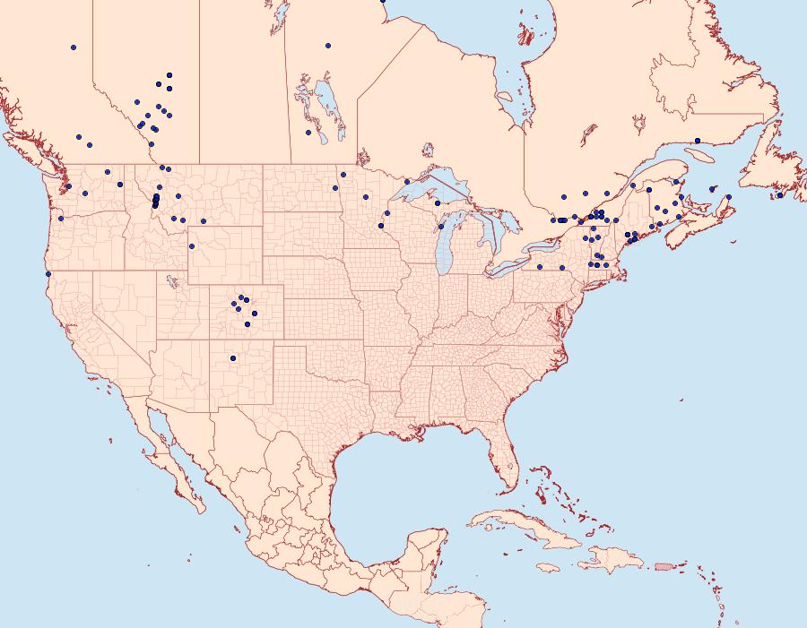 Distribution Data for Plusia putnami