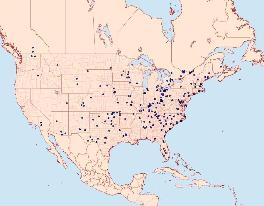 Distribution Data for Marathyssa inficita