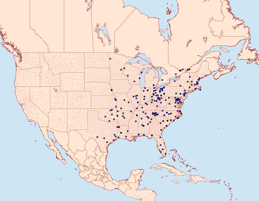 Distribution Data for Paectes oculatrix