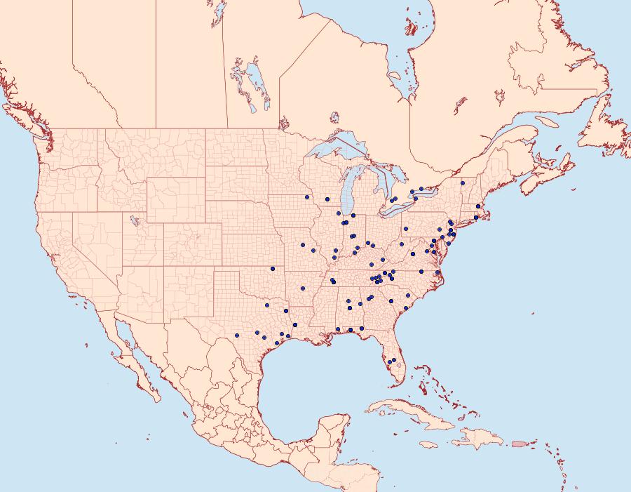 Distribution Data for Nycteola metaspilella