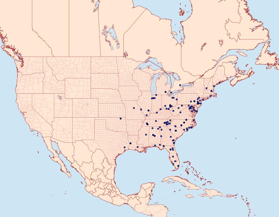 Distribution Data for Meganola phylla