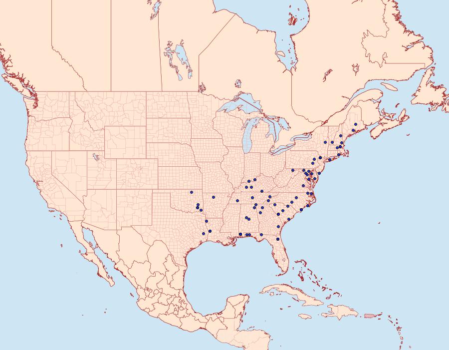 Distribution Data for Nola pustulata