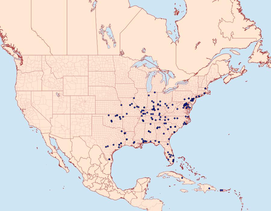 Distribution Data for Nola cereella