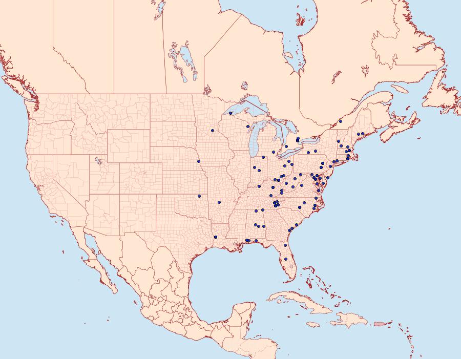 Distribution Data for Nola triquetrana