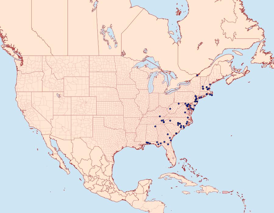 Distribution Data for Nola clethrae