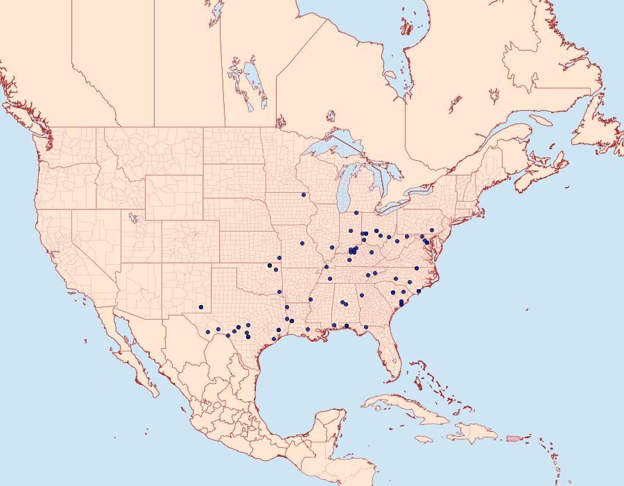 Distribution Data for Ozarba aeria