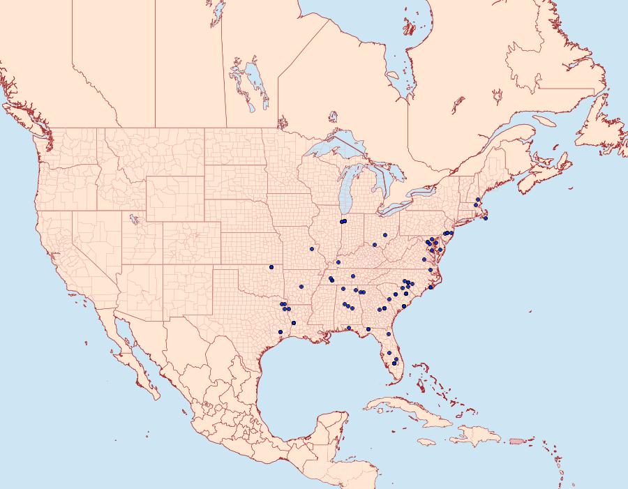 Distribution Data for Hyperstrotia flaviguttata