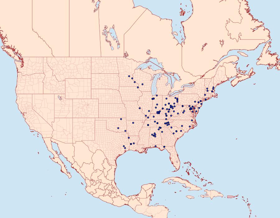 Distribution Data for Hyperstrotia secta