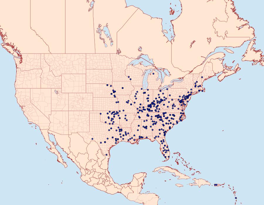 Distribution Data for Marimatha nigrofimbria