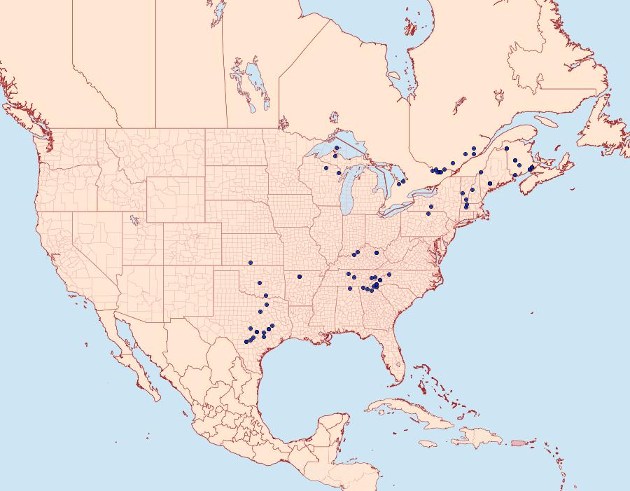 Distribution Data for Maliattha concinnimacula