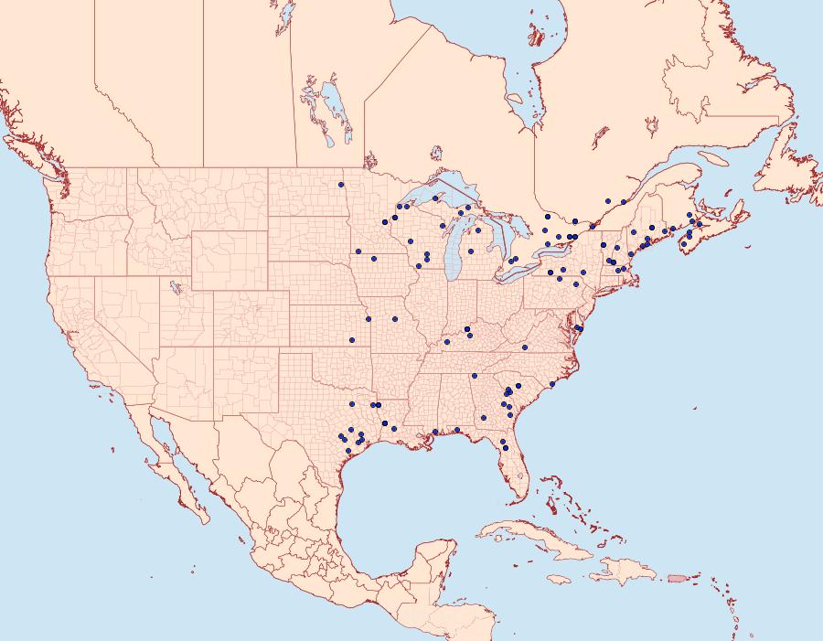 Distribution Data for Cerma cora