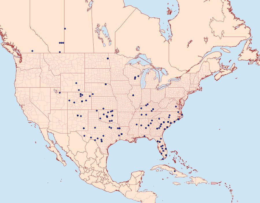 Distribution Data for Ponometia semiflava