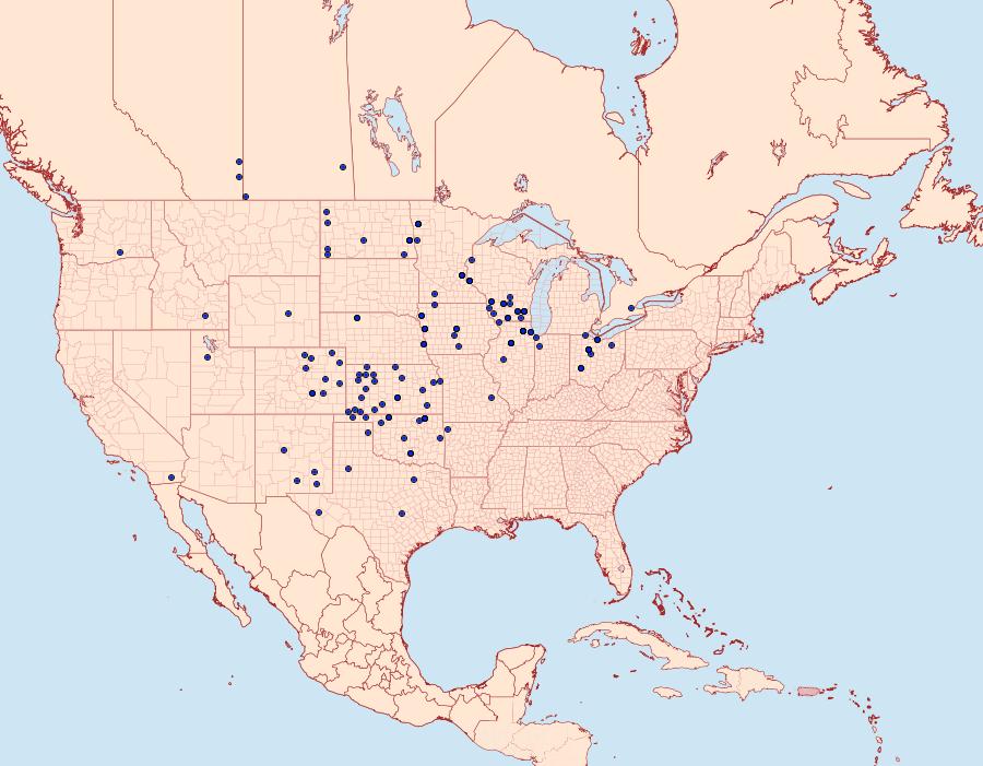 Distribution Data for Ponometia binocula